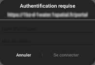Description: Une image contenant texte, capture d’écran, Police

Description générée automatiquement