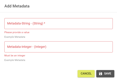 Add Field Panel with expected Metadata input fields.