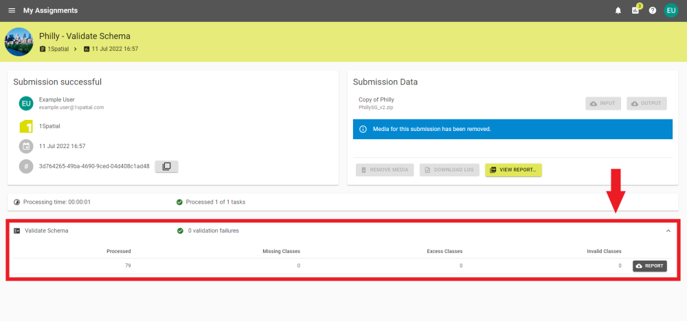A validate schema task has been expanded to see details and the download report button.