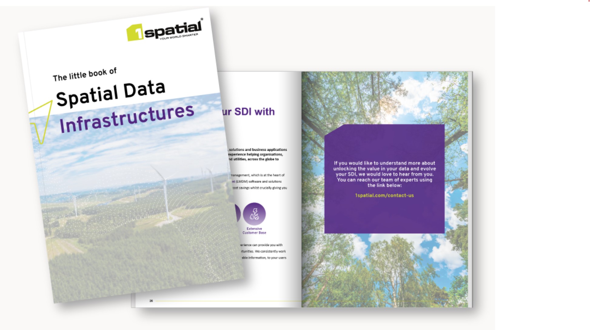 Spatial Data Infrastructures (SDIs)