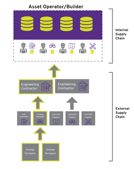 Engineering  ContractorEcology  Surveyors Ecology  Surveyors External Supply  ChainInternal  Supply  ChainSpecialist Supplier Specialist Supplier Specialist Supplier Ecology  Specialist Engineering  ContractorSub- ContractorAsset Operator/Builder